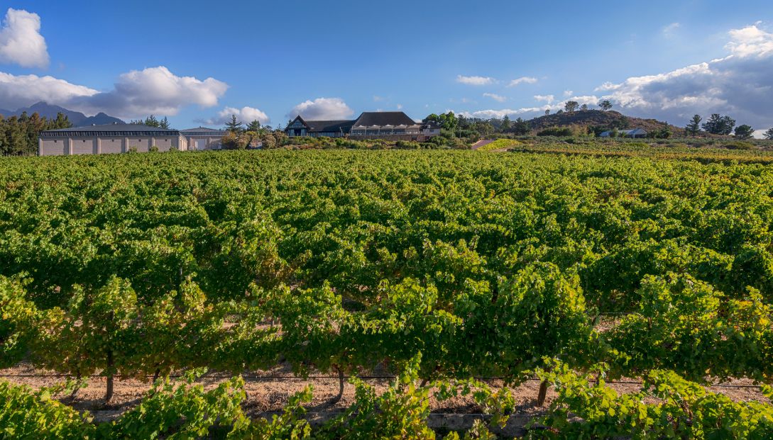 Geln-Carlou-Wine-Farm.jpg
